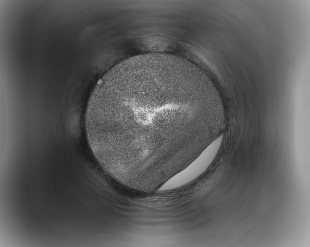 X0000088440641200706121509