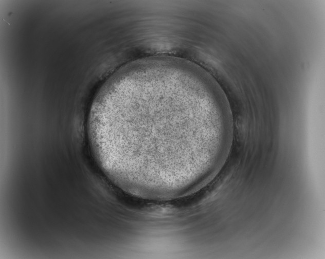 X0000088440642200706121509