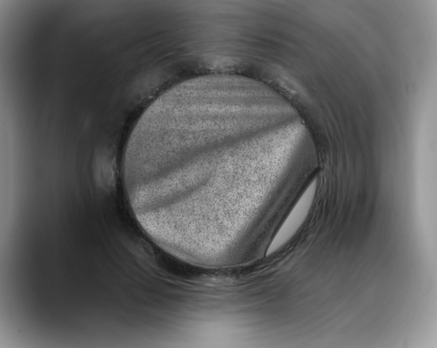 X0000088440644200706121509