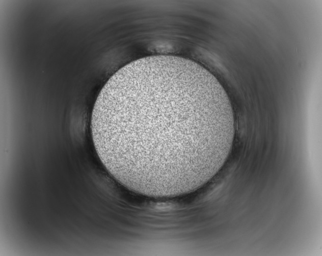 X0000088440645200706121509