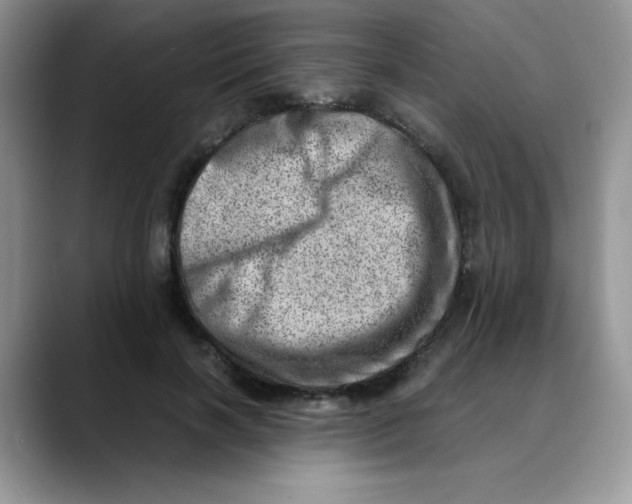 X0000088440646200706121509