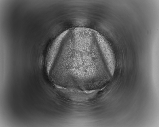X0000088440647200706121509