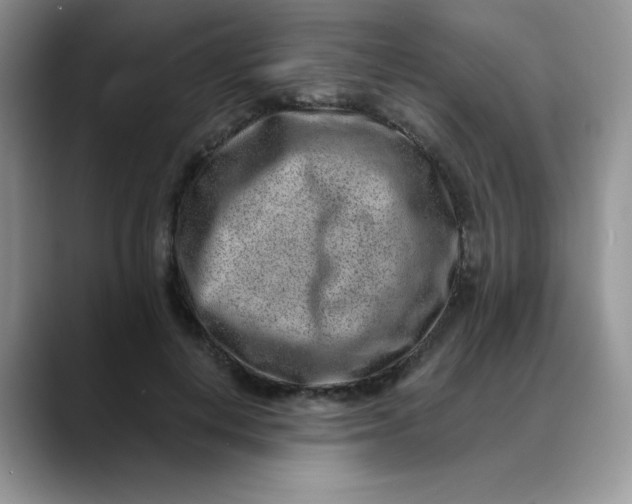 X0000088440648200706121509