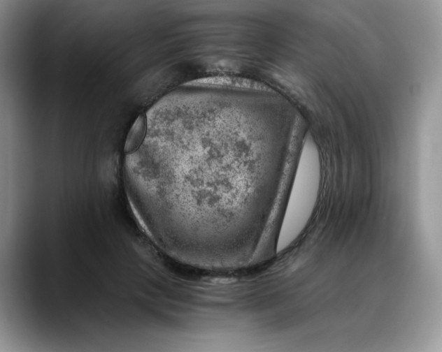 X0000088440649200706121509