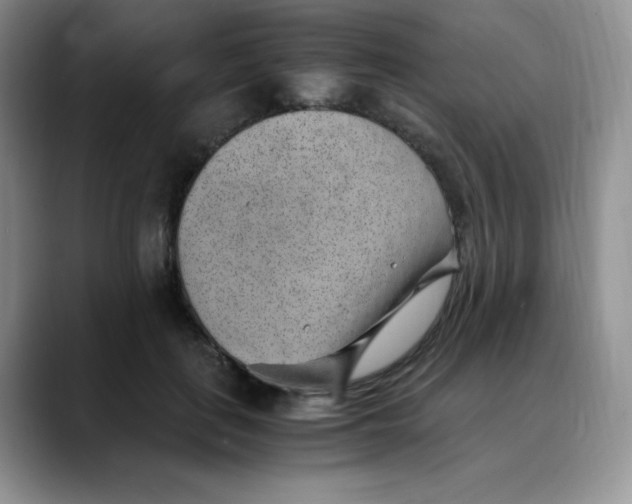 X0000088440651200706121509
