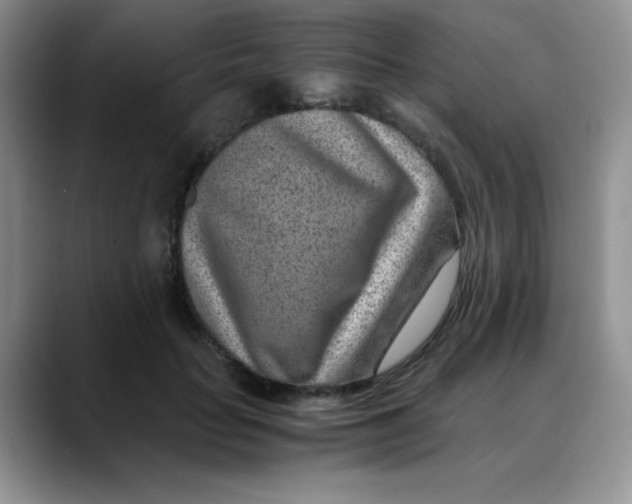 X0000088440653200706121509