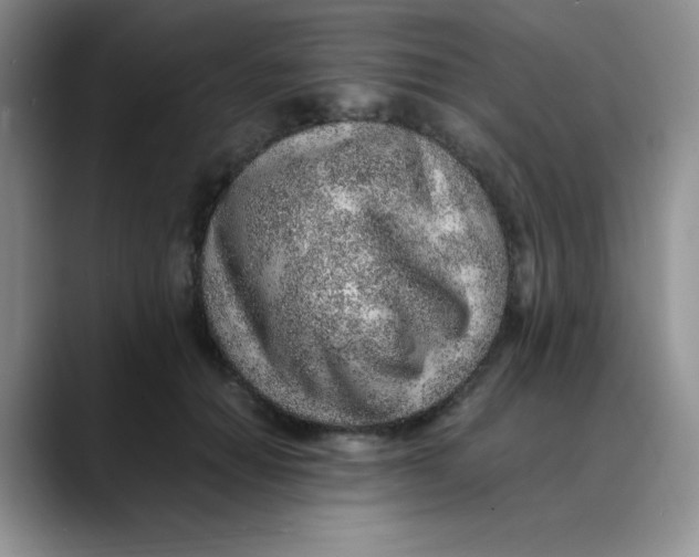 X0000088440654200706121510