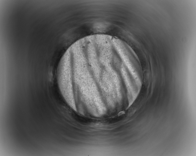 X0000088440655200706121510