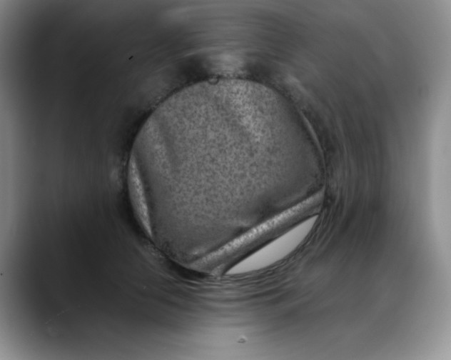 X0000088440658200706121510