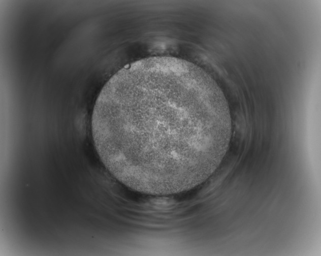 X0000088440659200706121510