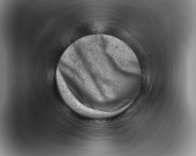 X0000088440660200706121510