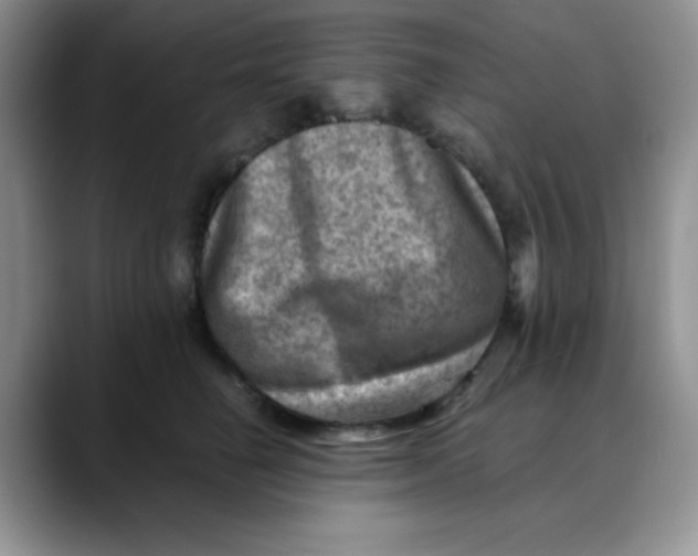 X0000088440662200706121510