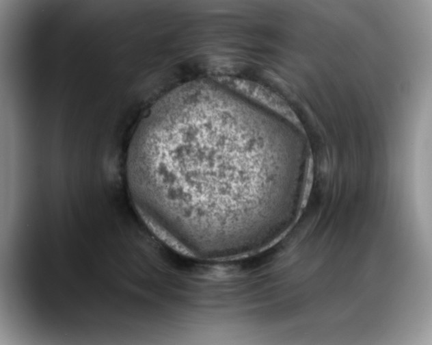 X0000088440663200706121510