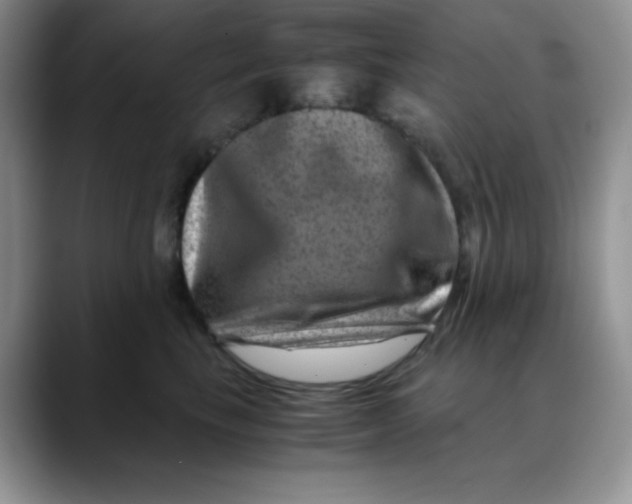 X0000088440665200706121510