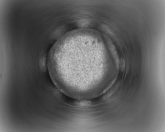 X0000088440670200706121510