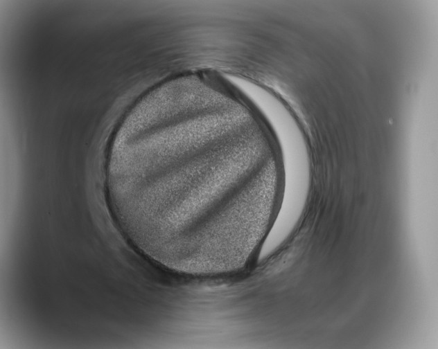 X0000088440673200706121509