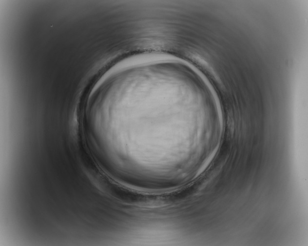 X0000088440674200706121509