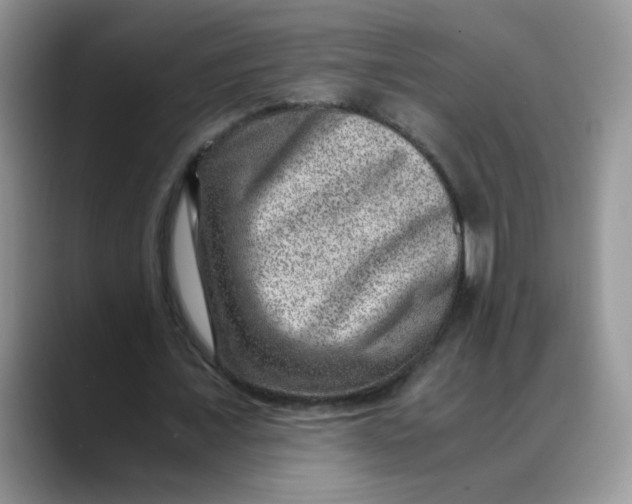X0000088440675200706121509
