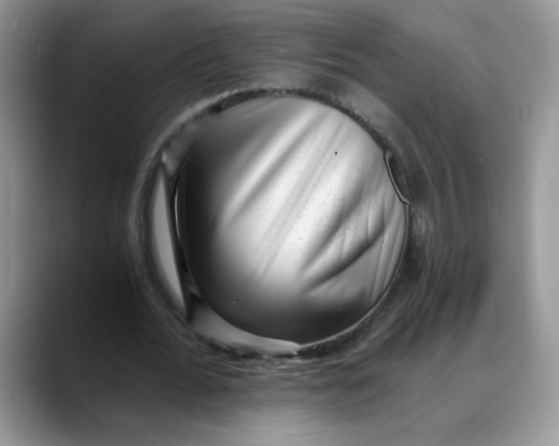 X0000088440676200706121509