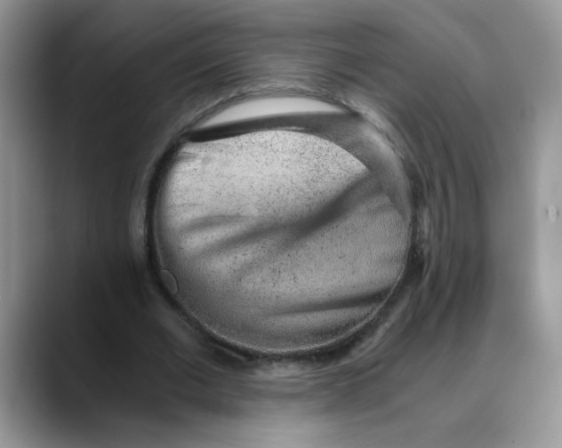 X0000088440677200706121509