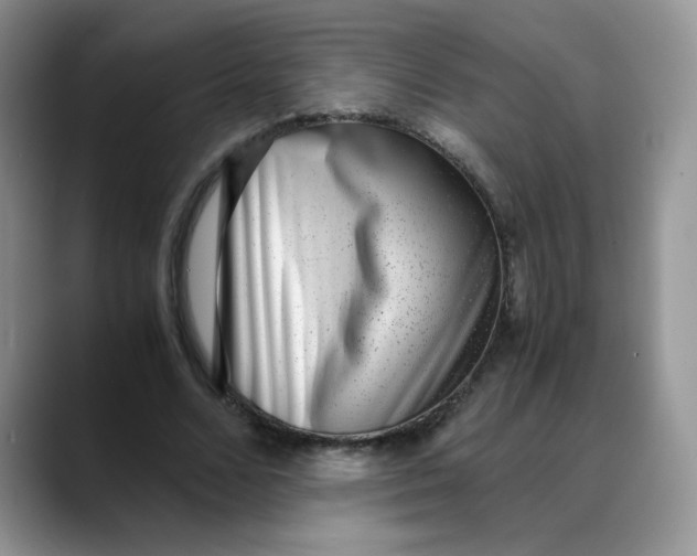 X0000088440680200706121509
