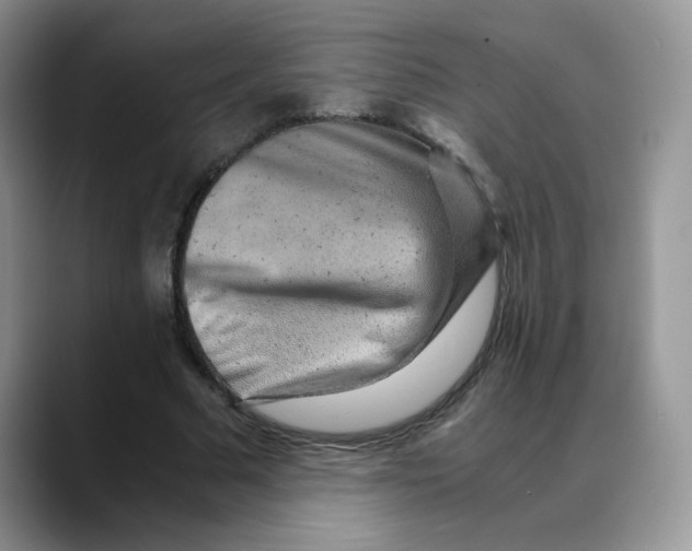 X0000088440681200706121509
