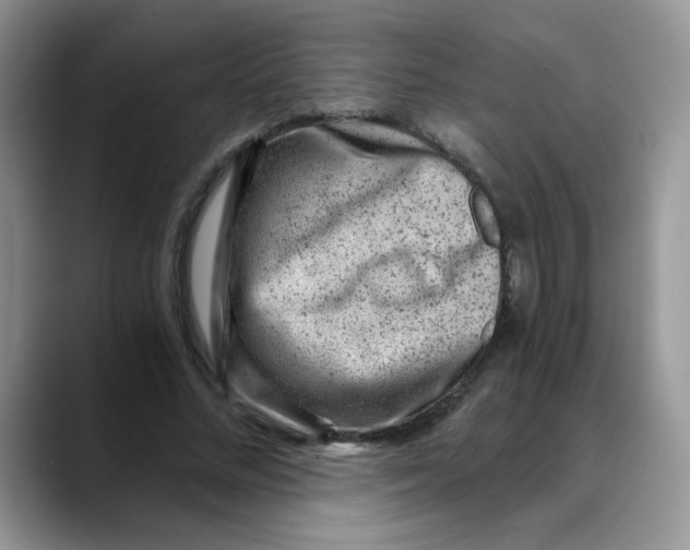 X0000088440684200706121509