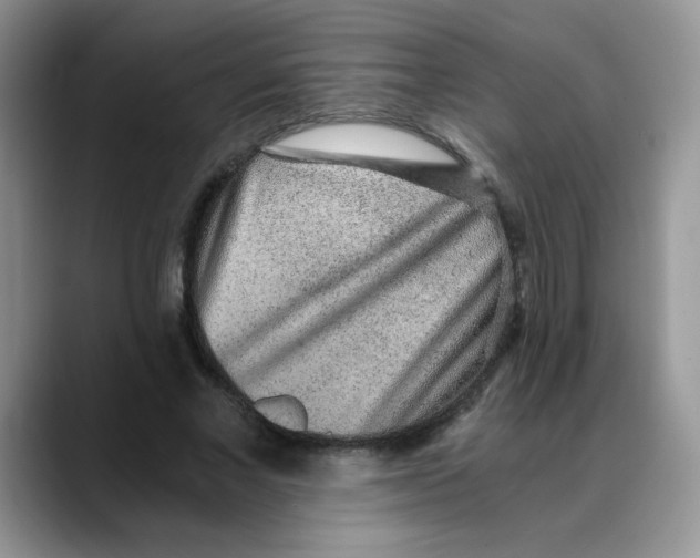 X0000088440685200706121509