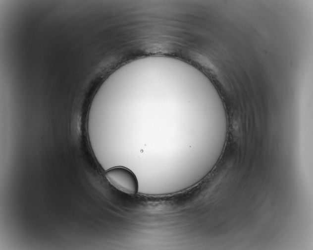 X0000088440686200706121509