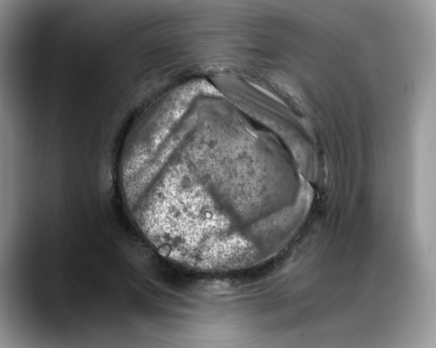 X0000088440687200706121509