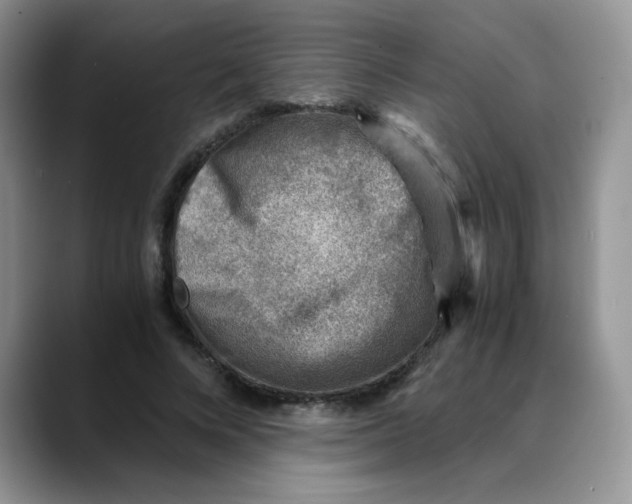 X0000088440688200706121509