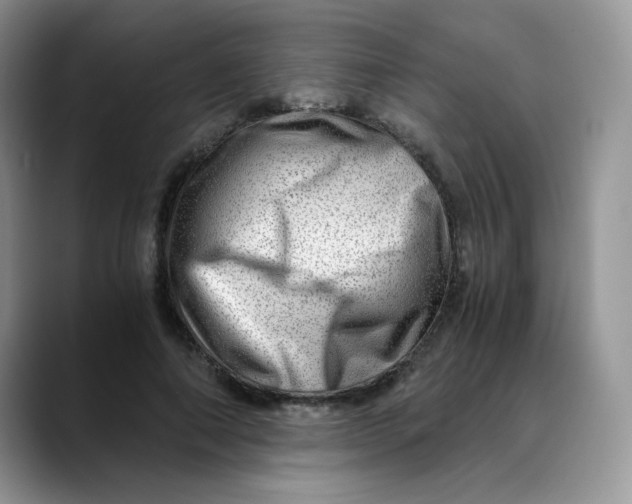 X0000088440690200706121509