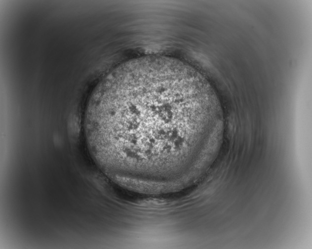 X0000088440691200706121509