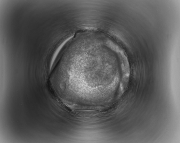 X0000088440692200706121509