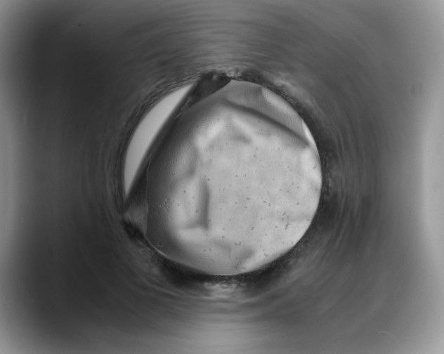 X0000088440693200706121509