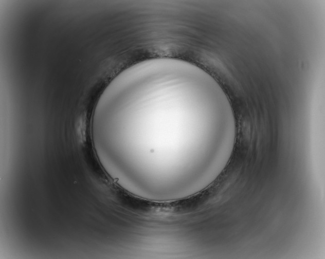 X0000088440694200706121509