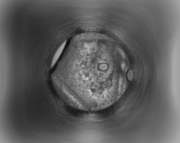 X0000088440695200706121509