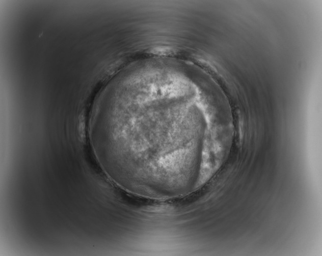X0000088440696200706121509