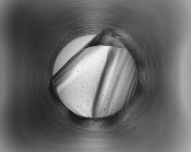 X0000088440697200706121509