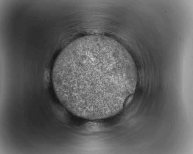X0000088440699200706121509