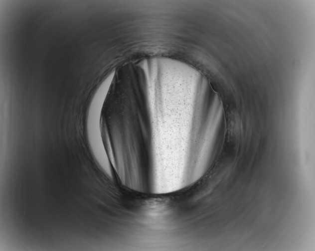 X0000088440700200706121509