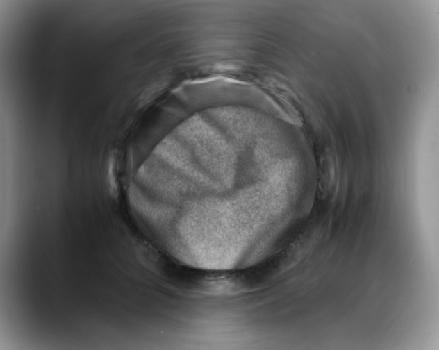 X0000088440704200706121509