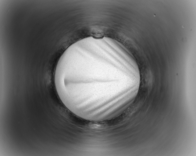 X0000088440706200706121509