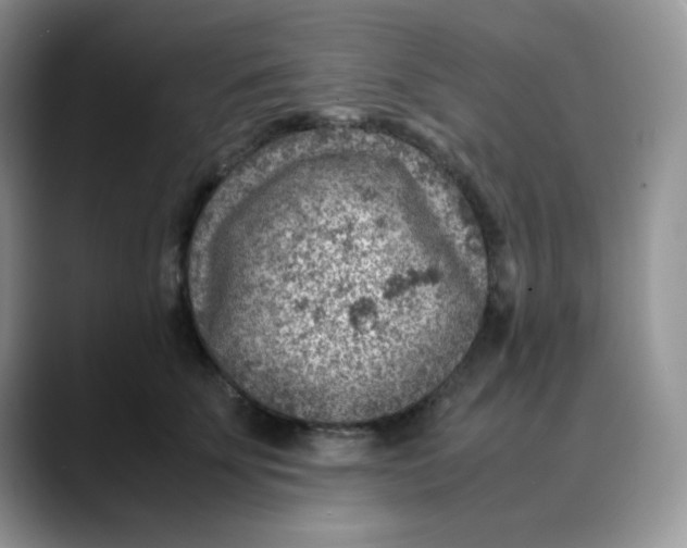 X0000088440707200706121509
