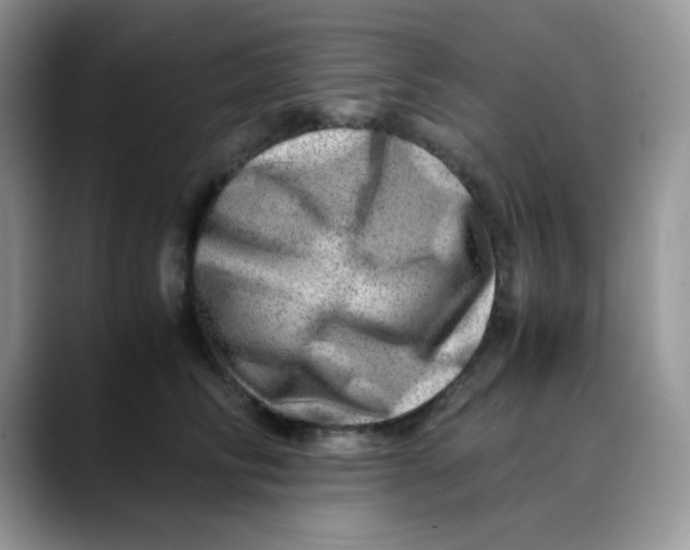 X0000088440710200706121509