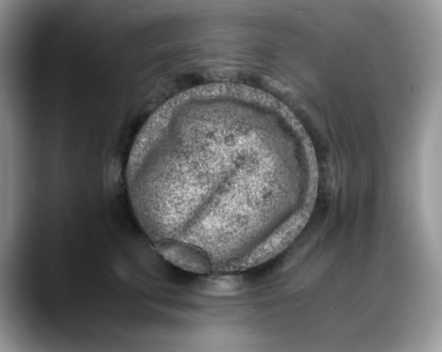 X0000088440711200706121509