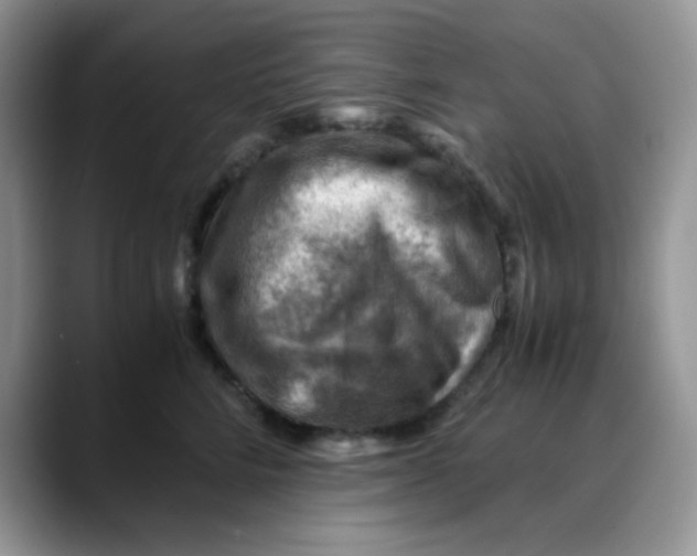 X0000088440712200706121509
