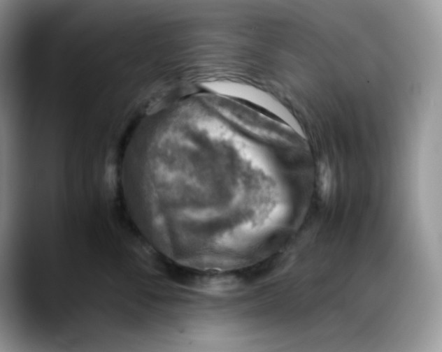 X0000088440716200706121509