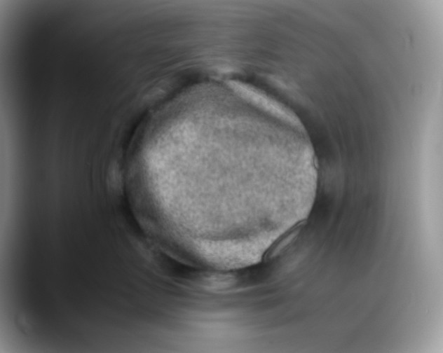 X0000088440719200706121509
