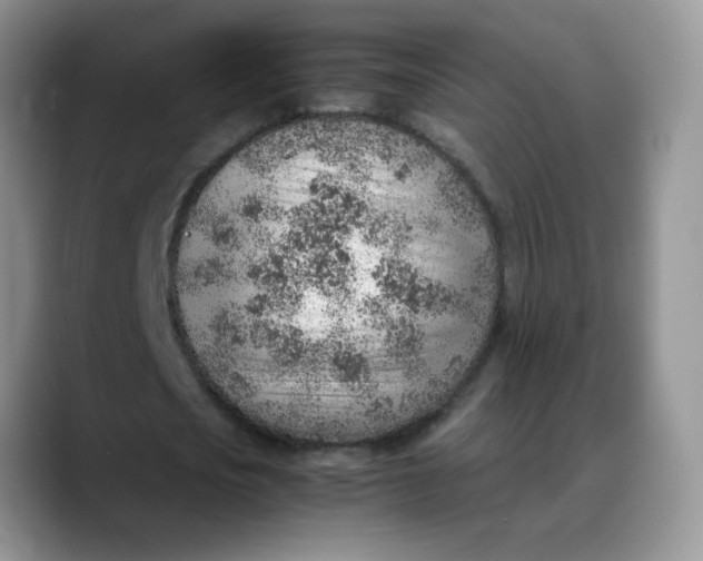X0000088440721200706121508